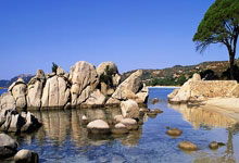 star sports-奥兰多魔术迎NBA常规赛关键赛；冲刺阶段临场应变；更衣室稳定；身体对抗强度拉满的简单介绍-star sports